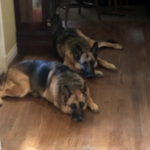 Meet your Posher, Annette